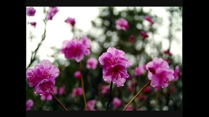 Yiruma - Целувка под дъжда