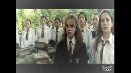 Draco`s Girls