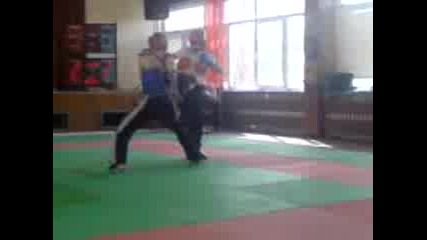 Kung Fu Toa