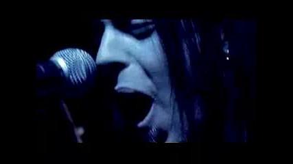 Bullet For My Valentine Cries In