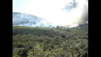 Пожар в месността Карабаша с.студена,  община Свиленград възникнал на 16.08.2008 год.