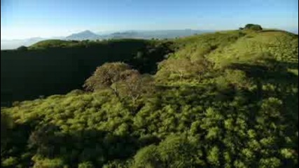 Chill Out Music - Africa 