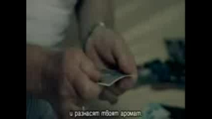 Avril Lavigne - When youre gone