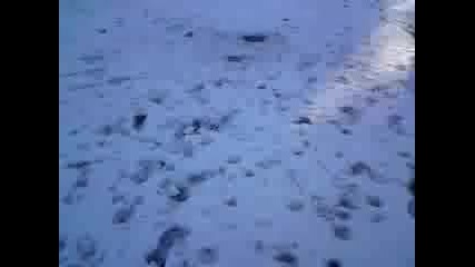 Гармяне на канче
