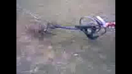 Sara Vs. Guma