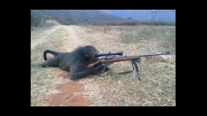 Маймуни с оръжие
