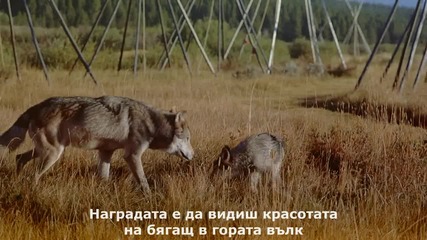 9/9 Imax Wolves (1999) Вълци [ Бг Суб ] *високо качество*