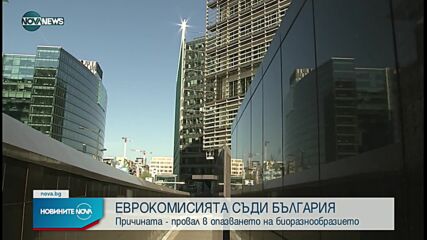 ЕК ще съди България заради неопазване на биоразнообразието
