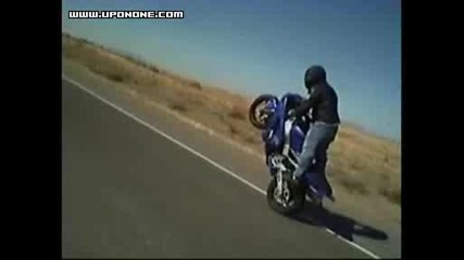 Freeway Stunts