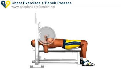 Chest Exercises Bench Press 