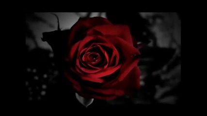 Sting - Desert Rose (mat Zo Remix)