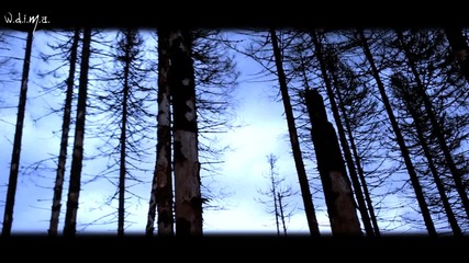 Lakes Of Russia ~ Dead Trees
