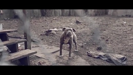 Chinx Drugz feat. Young Thug & Shad Da God - Laugh *официално видео*