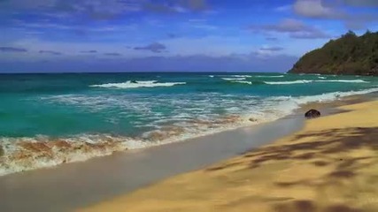 Relaxation - Kauai Beaches 