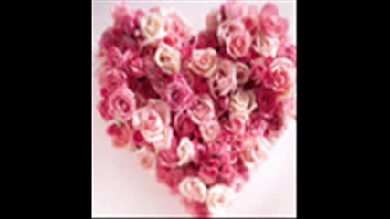 [ Loveee ]