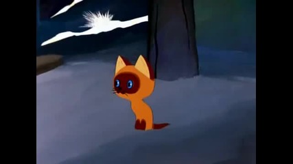 Сънчо : Котенцето с име Бау 2 Епизод