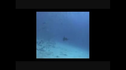 Summer Serenade - James Last and His Orchestra 