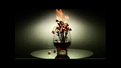 Timbaland Ft. One Republic - Apologize