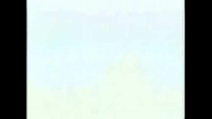 Малния удря дърво