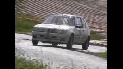 Peugeot 205 Rallye 