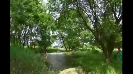 [official Mv1] Warrior Baek Dong Soo Ost Part1 By Bmk