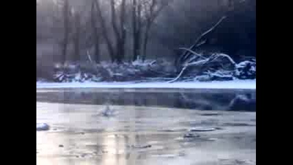 Спасяването На Лебеда