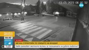 Мечка спринтира по улиците на Владая