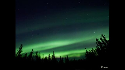 Lake Forest - Yukon