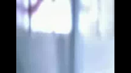 Sk Vilden Intel Commercial