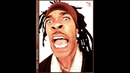 Busta Rhymes - Everything Remains Raw W