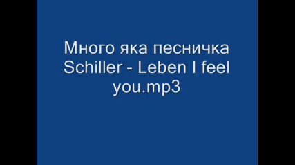 Schiller - Leben I feel you.mp3