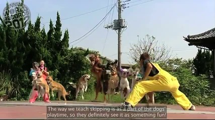 13 кучета скачат на въже!