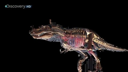 Discovery Channel:сблъсъкът на динозаврите част1 Hd