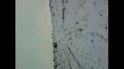 lepica