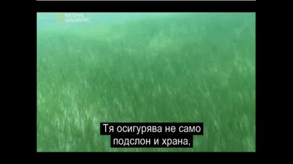 = Земята - Островите Чудо = (World Island Wonder) - Част 3