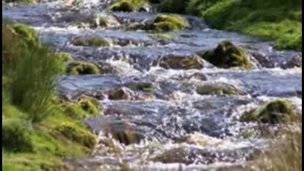 Edvard Grieg - The Brook