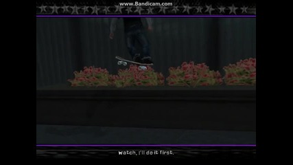 Tony Hawk's American Wasteland.iako trikche