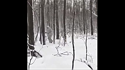 Ловец на лов за глигани в гората - забавно клипче