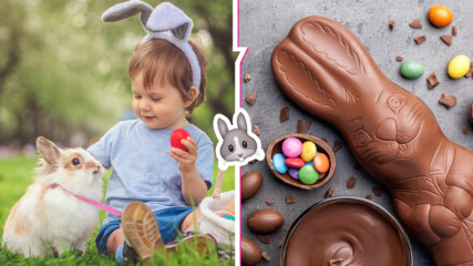 Шоколадов, плюшен, истински: Защо и как заекът се превърна в символ на Великден?