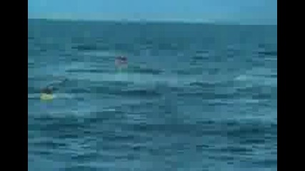 Oрка атакува лодка