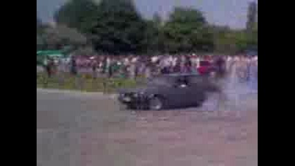 Puligona Ruse