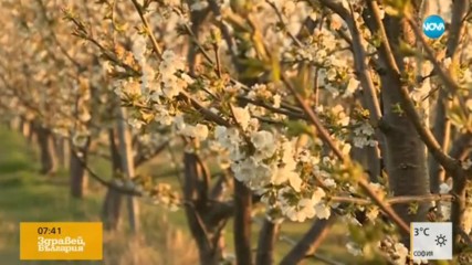 Георги Рачев: Чака ни нормален април