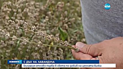Новините на NOVA (19.07.2016 - централна)
