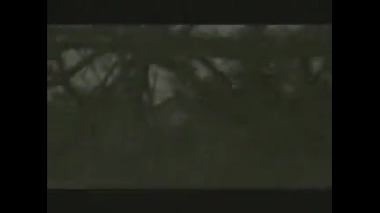 Скайшилд 35мм Пво система