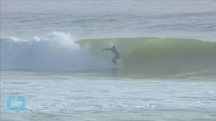 Surfer Mick Fanning Fights Off Shark Attack on Live TV