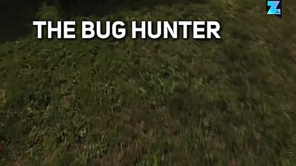 Ловецът на насекоми - София