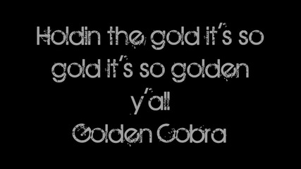 Limp Bizkit - Gold Cobra lyrics