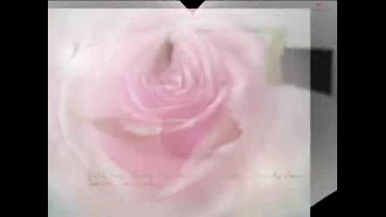 Обичам Те.avi