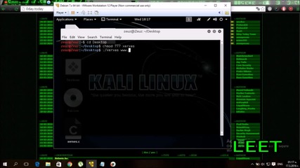 Ddos на уеб сайт