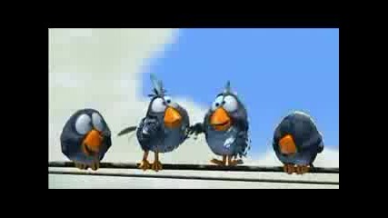 los pajaros